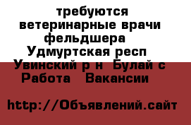 требуются ветеринарные врачи (фельдшера) - Удмуртская респ., Увинский р-н, Булай с. Работа » Вакансии   